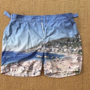 Jachs New York Scenic Beach Print Swim Shorts